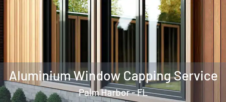  Aluminium Window Capping Service Palm Harbor - FL
