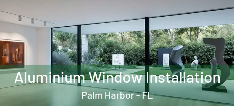 Aluminium Window Installation Palm Harbor - FL