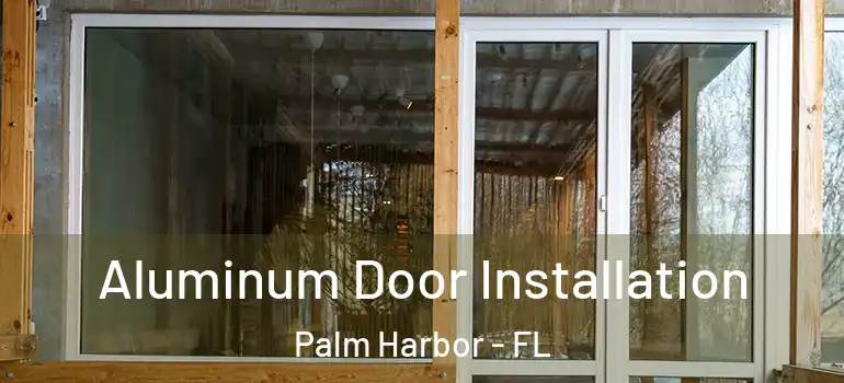 Aluminum Door Installation Palm Harbor - FL