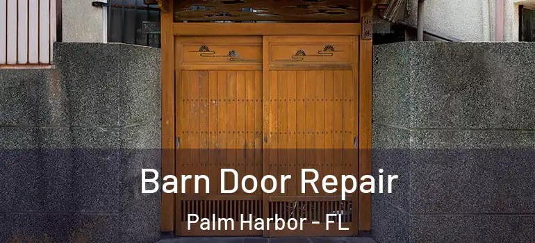 Barn Door Repair Palm Harbor - FL