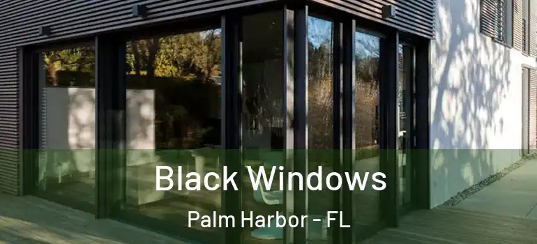 Black Windows Palm Harbor - FL