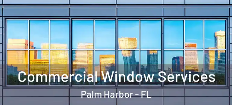 Commercial Window Services Palm Harbor - FL