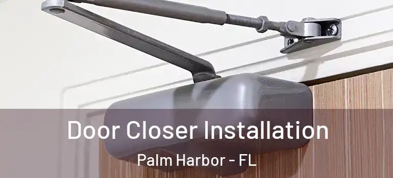 Door Closer Installation Palm Harbor - FL
