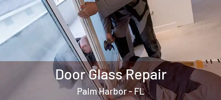 Door Glass Repair Palm Harbor - FL