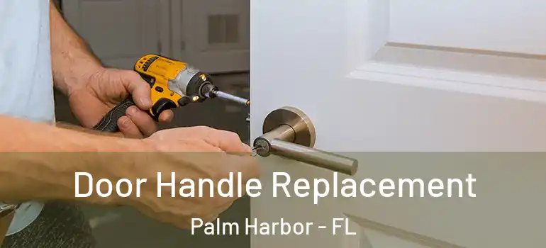 Door Handle Replacement Palm Harbor - FL