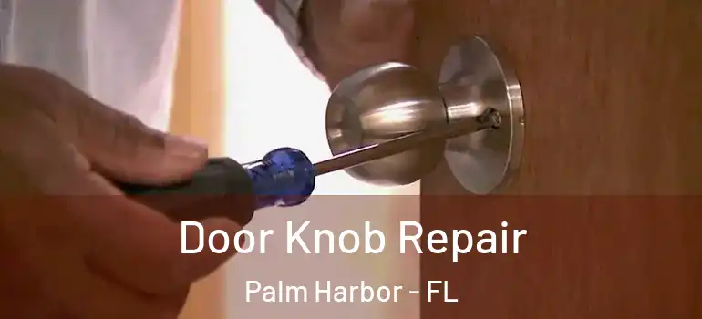 Door Knob Repair Palm Harbor - FL