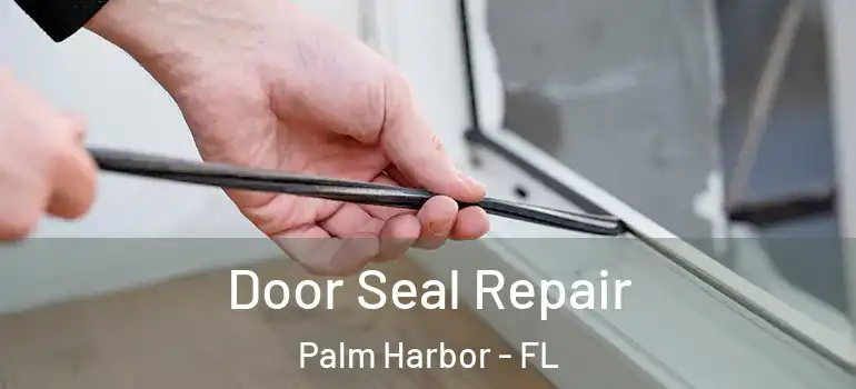 Door Seal Repair Palm Harbor - FL