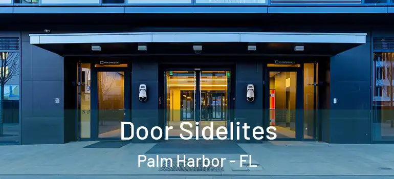 Door Sidelites Palm Harbor - FL