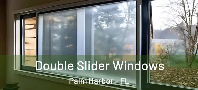 Double Slider Windows Palm Harbor - FL