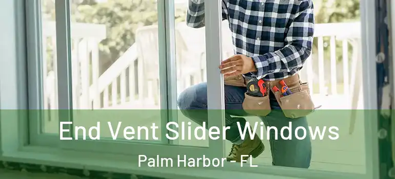 End Vent Slider Windows Palm Harbor - FL