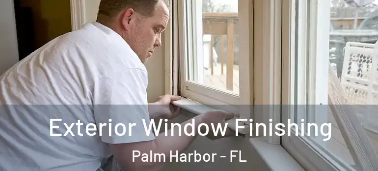 Exterior Window Finishing Palm Harbor - FL