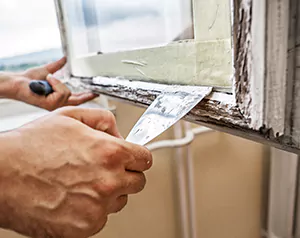 Professional Door and Windows Installation in Palm Harbor, FL