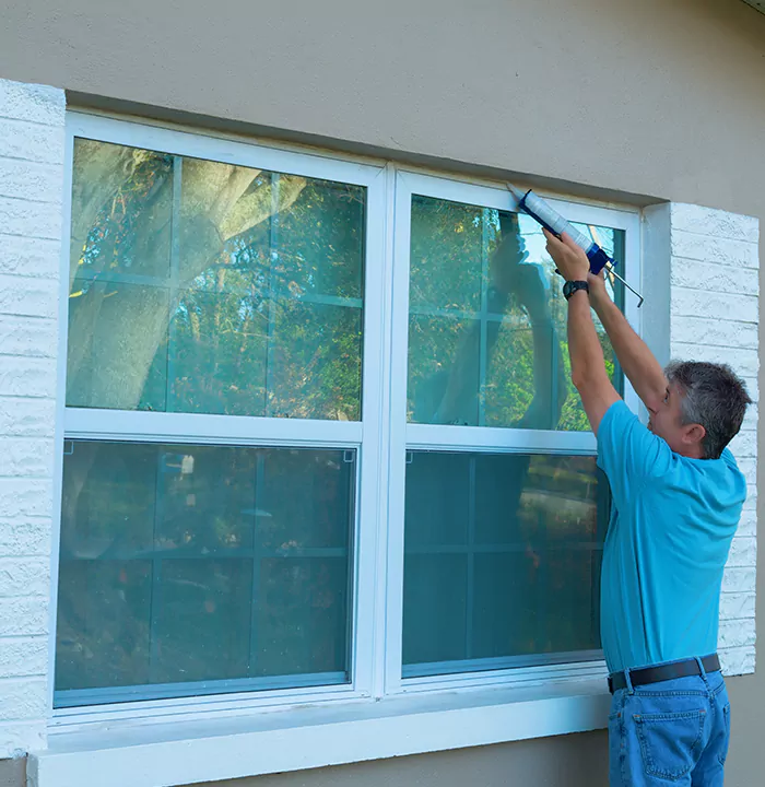 Modern Windows in Palm Harbor, FL
