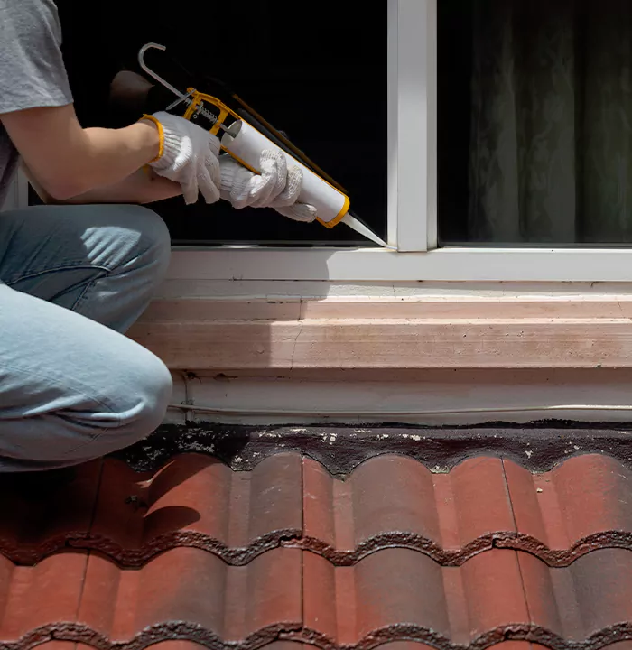 Roof Window Services in Palm Harbor, Florida