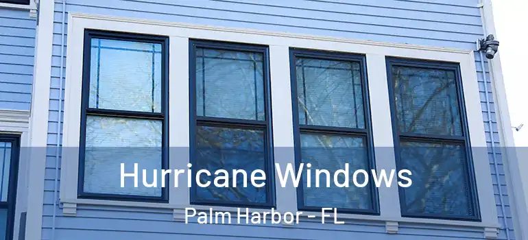 Hurricane Windows Palm Harbor - FL