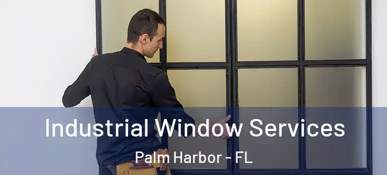 Industrial Window Services Palm Harbor - FL