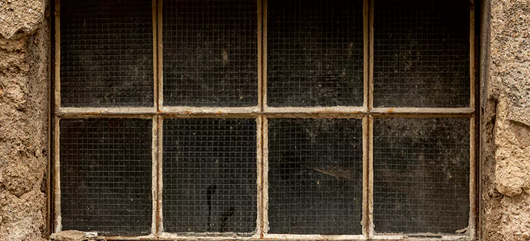 Traditional Double Front Doors in Palm Harbor, FL