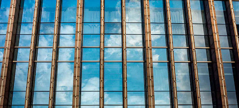 Professional Window Tinting Services in Palm Harbor, FL