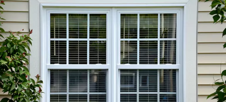Custom Double Hung Windows in Palm Harbor, FL