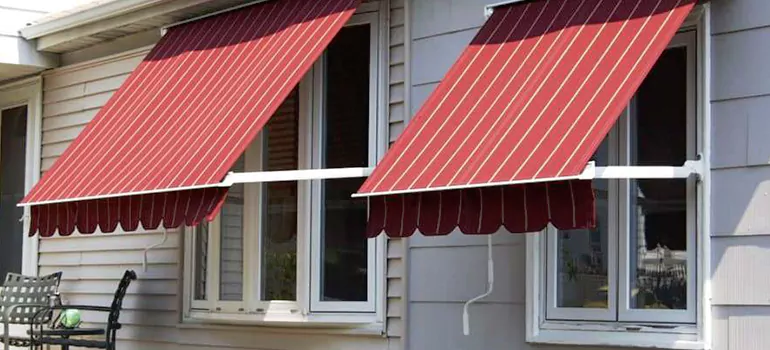 Government Rebate Window Replacement in Palm Harbor, FL