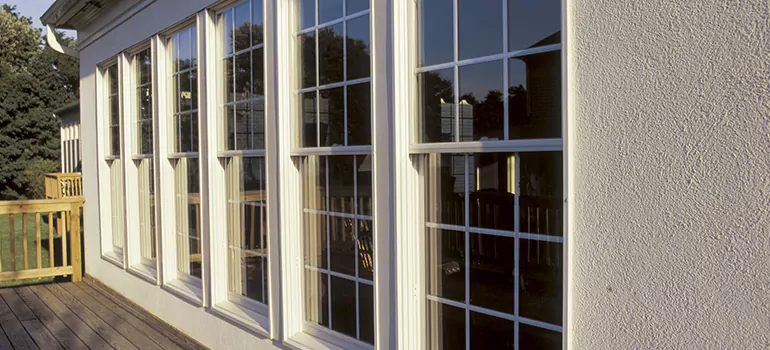 Home Window Glass Repair in Palm Harbor, FL