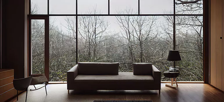 Casement Picture Window in Palm Harbor, FL