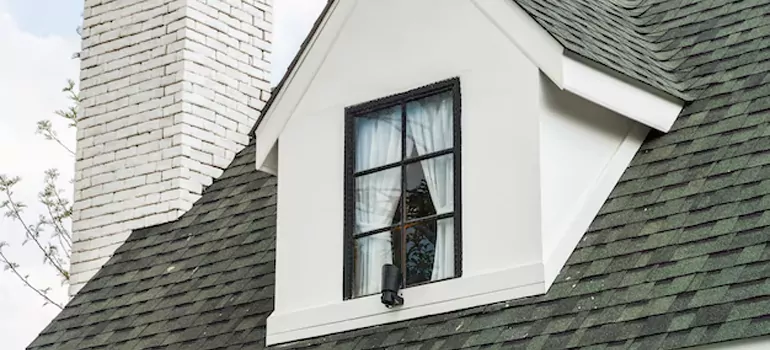 Roof Window Repair in Palm Harbor, FL