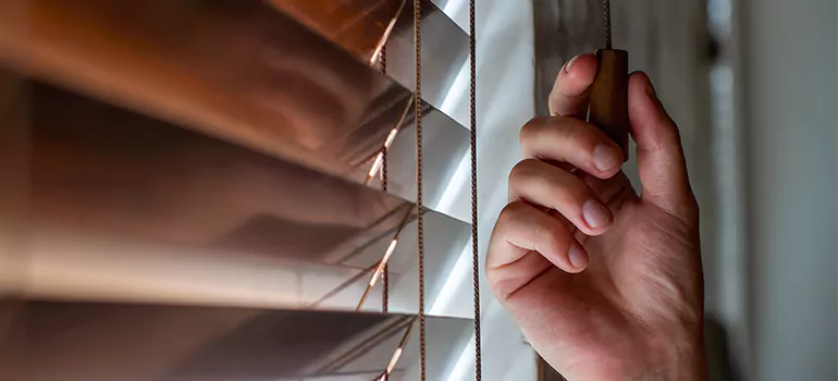 Double Roller Blinds in Palm Harbor, FL