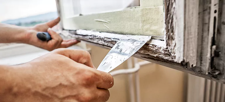 Exterior Window Frame Repair in Palm Harbor, FL