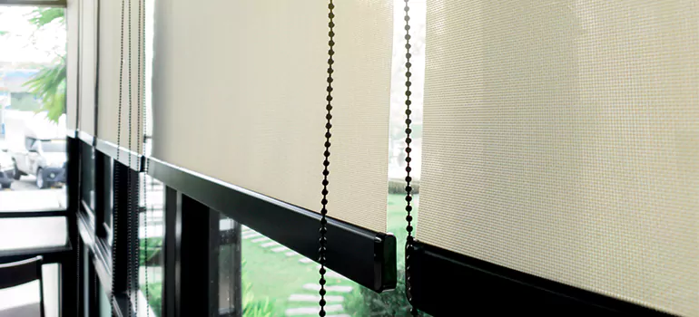 Blackout Window Shades in Palm Harbor, FL