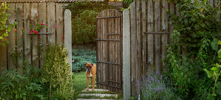 Winter Garden Garage Door Repair in Palm Harbor,[location field=state]