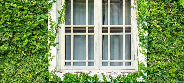 Garden Window Repair Near Me in Palm Harbor, FL