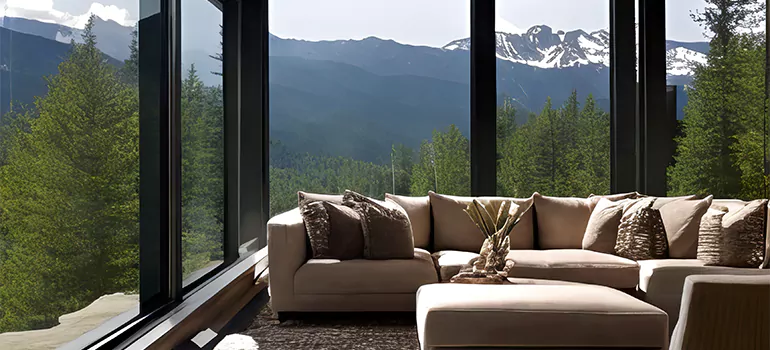 Picture Window Maintenance in Palm Harbor, FL