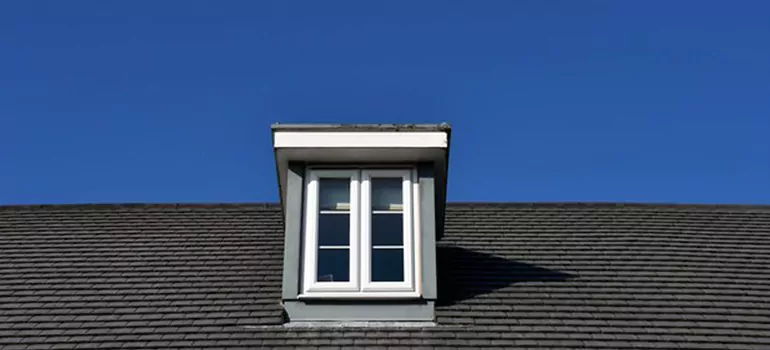 Roof Window Installation in Palm Harbor, FL