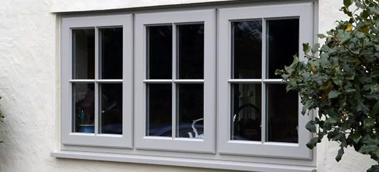 Stormproof Windows With Tinted Glass Services in Palm Harbor, FL
