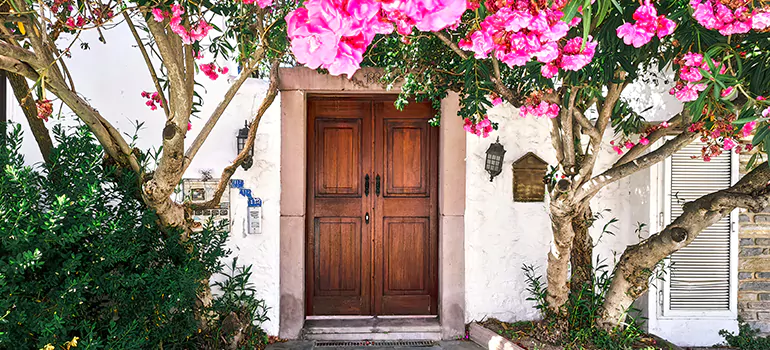 Traditional 4 Panel Internal Doors in Palm Harbor, FL