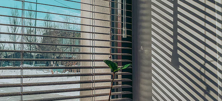 Commercial Window Blinds in Palm Harbor, FL