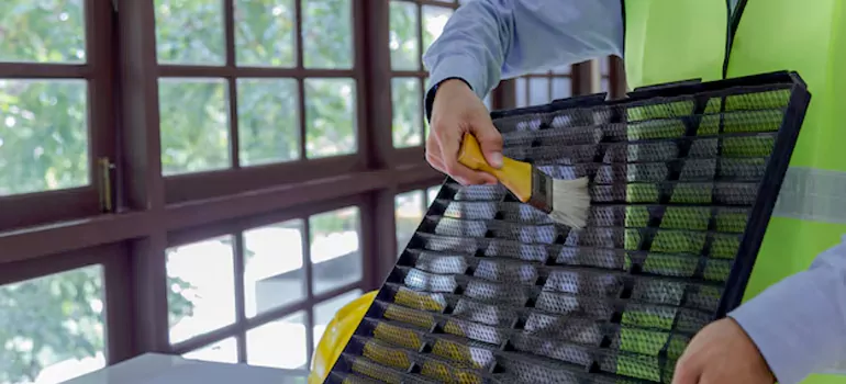 Traditional Window Grille Installation Options in Palm Harbor, FL