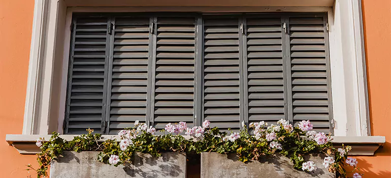 Security Roller Shutters in Palm Harbor, FL