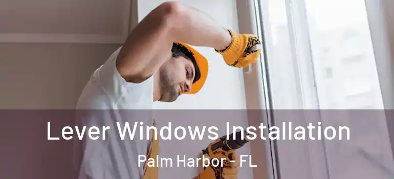 Lever Windows Installation Palm Harbor - FL