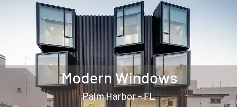 Modern Windows Palm Harbor - FL