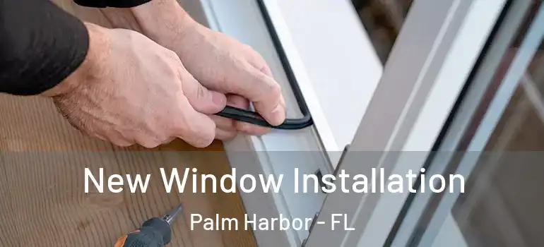 New Window Installation Palm Harbor - FL