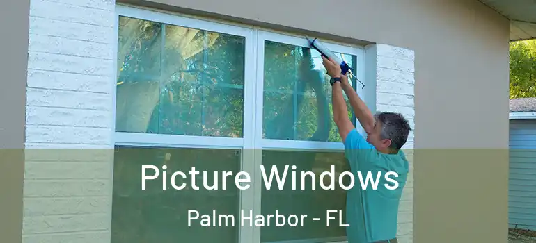 Picture Windows Palm Harbor - FL