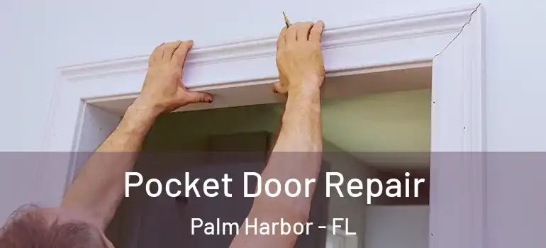 Pocket Door Repair Palm Harbor - FL