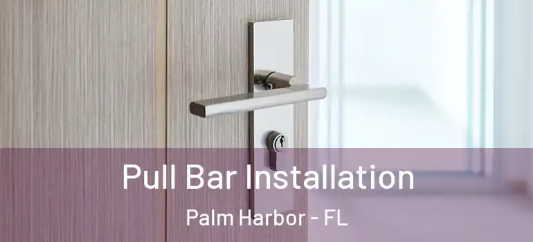 Pull Bar Installation Palm Harbor - FL