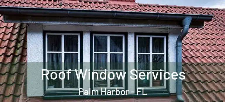 Roof Window Services Palm Harbor - FL