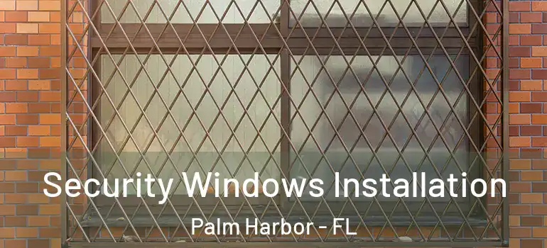 Security Windows Installation Palm Harbor - FL