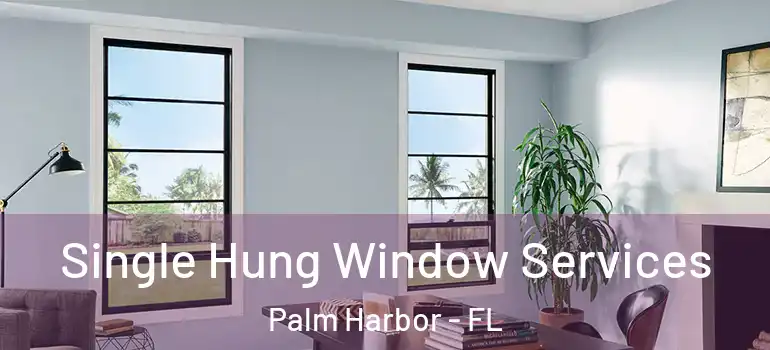 Single Hung Window Services Palm Harbor - FL