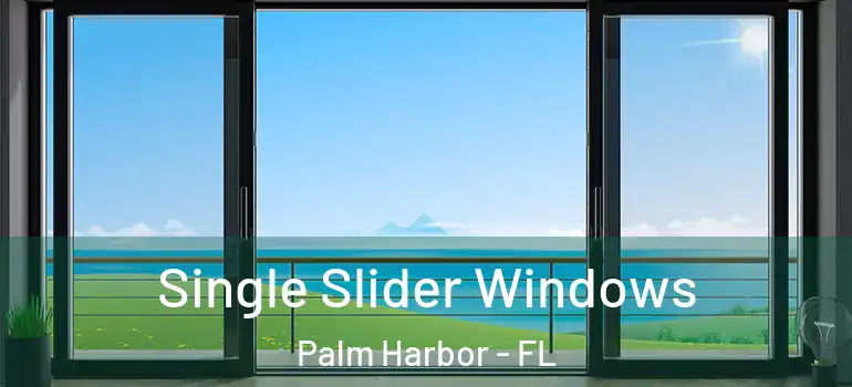 Single Slider Windows Palm Harbor - FL