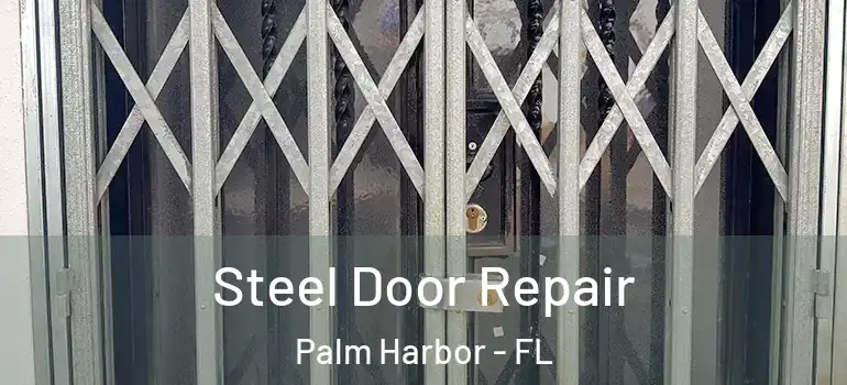  Steel Door Repair Palm Harbor - FL